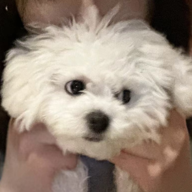 里伞
